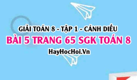 Giải bài 5 trang 65 Toán 8 Tập 1 SGK Cánh Diều